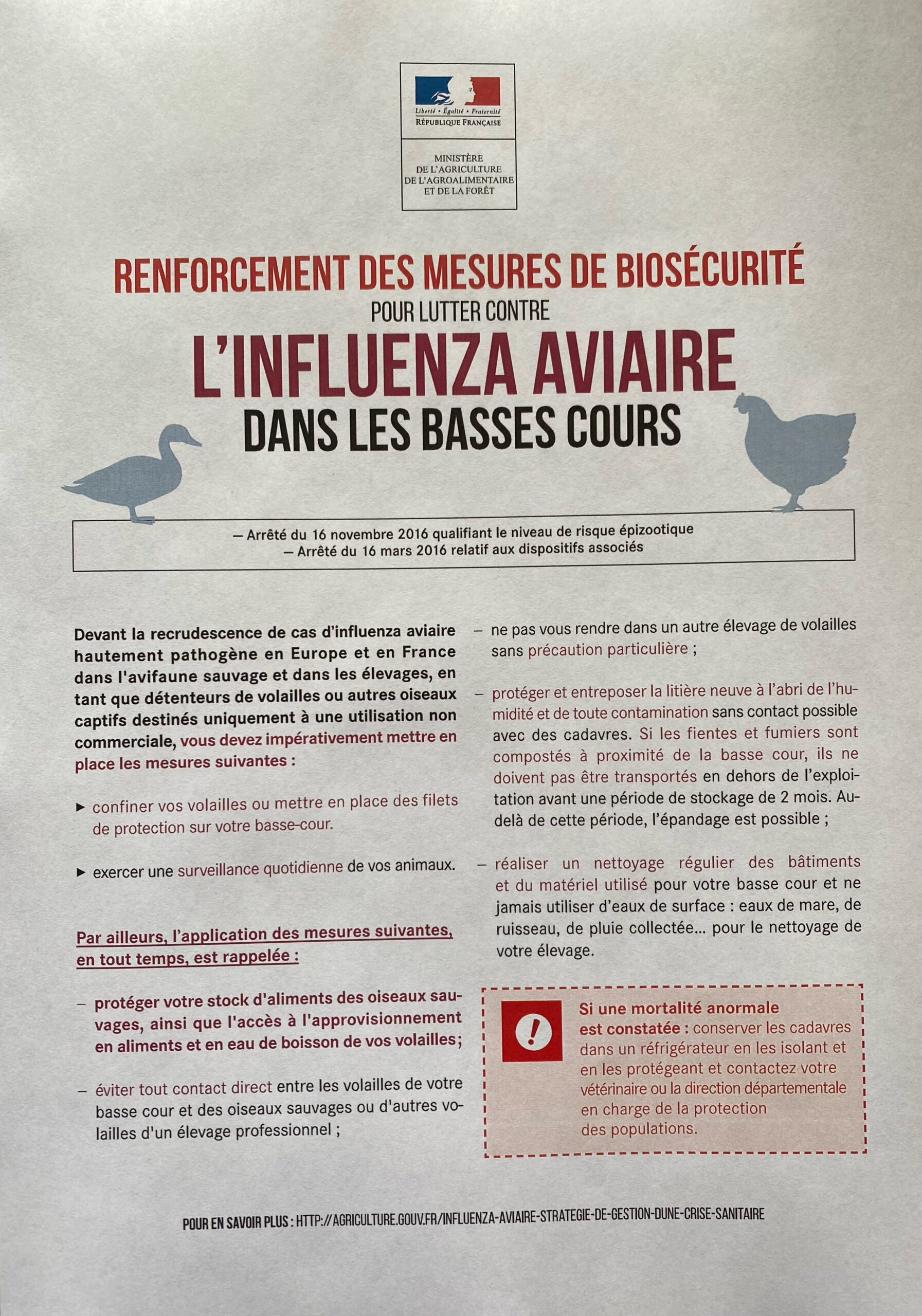 Lire la suite à propos de l’article Renforcement des mesures de biosécurité pour lutter contre l’INFLUENZA AVIAIRE dans les basses cours