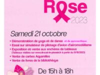 Drucat se met en rose pour Octobre Rose
